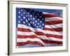 Close-Up of the Stars and Stripes, United States of America, North America-null-Framed Photographic Print