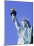 Close-up of the Statue of Liberty in New York, USA-Nigel Francis-Mounted Photographic Print