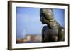 Close Up of the Statue of the Little Mermaid in Copenhagen, Denmark, Scandinavia, Europe-Simon Montgomery-Framed Photographic Print