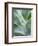 Close-up of the tropical Agave plant.-Julie Eggers-Framed Photographic Print