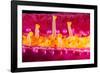 Close up of the tube feet of a Purple velvet seastar, Hawaii-David Fleetham-Framed Photographic Print