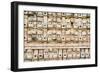 Close Up of the Wall at the Mayan Ruins at El Palacio De Los Mascarones (Palace of Masks)-John Woodworth-Framed Photographic Print