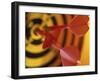 Close-up of Three Darts in the Bull's-Eye of a Dartboard-null-Framed Photographic Print