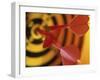 Close-up of Three Darts in the Bull's-Eye of a Dartboard-null-Framed Photographic Print