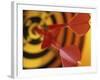 Close-up of Three Darts in the Bull's-Eye of a Dartboard-null-Framed Photographic Print