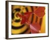 Close-up of Three Darts in the Bull's-Eye of a Dartboard-null-Framed Photographic Print