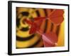 Close-up of Three Darts in the Bull's-Eye of a Dartboard-null-Framed Photographic Print