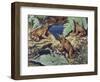 Close-Up of Three Darwin's Frogs in the Forest (Rhinoderma Darwinii)-null-Framed Giclee Print