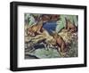 Close-Up of Three Darwin's Frogs in the Forest (Rhinoderma Darwinii)-null-Framed Giclee Print