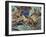 Close-Up of Three Darwin's Frogs in the Forest (Rhinoderma Darwinii)-null-Framed Giclee Print