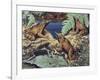 Close-Up of Three Darwin's Frogs in the Forest (Rhinoderma Darwinii)-null-Framed Giclee Print