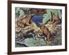 Close-Up of Three Darwin's Frogs in the Forest (Rhinoderma Darwinii)-null-Framed Giclee Print