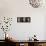 Close-up of Three Dedicated Sake Barrels, Imamiya Temple, Kita-Ku, Kyoto, Honshu, Japan-null-Framed Stretched Canvas displayed on a wall