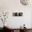 Close-up of Three Dedicated Sake Barrels, Imamiya Temple, Kita-Ku, Kyoto, Honshu, Japan-null-Mounted Photographic Print displayed on a wall