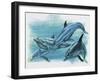 Close-Up of Three Dolphins (Delphinus Delphis)-null-Framed Giclee Print