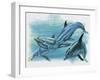 Close-Up of Three Dolphins (Delphinus Delphis)-null-Framed Giclee Print