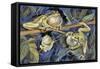 Close-Up of Three European Tree Frogs on a Tree (Hyla Arborea)-null-Framed Stretched Canvas