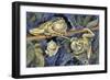 Close-Up of Three European Tree Frogs on a Tree (Hyla Arborea)-null-Framed Giclee Print