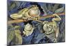 Close-Up of Three European Tree Frogs on a Tree (Hyla Arborea)-null-Mounted Giclee Print