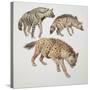 Close-Up of Three Hyena Dogs-null-Stretched Canvas