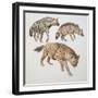 Close-Up of Three Hyena Dogs-null-Framed Giclee Print