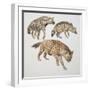 Close-Up of Three Hyena Dogs-null-Framed Giclee Print