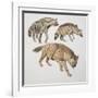 Close-Up of Three Hyena Dogs-null-Framed Giclee Print