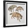 Close-Up of Three Hyena Dogs-null-Framed Giclee Print