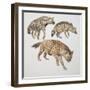 Close-Up of Three Hyena Dogs-null-Framed Premium Giclee Print