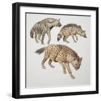 Close-Up of Three Hyena Dogs-null-Framed Premium Giclee Print