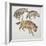 Close-Up of Three Hyena Dogs-null-Framed Premium Giclee Print