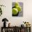 Close-up of Three Tennis Balls-null-Stretched Canvas displayed on a wall