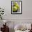 Close-up of Three Tennis Balls-null-Framed Photographic Print displayed on a wall