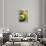 Close-up of Three Tennis Balls-null-Framed Photographic Print displayed on a wall