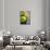 Close-up of Three Tennis Balls-null-Mounted Photographic Print displayed on a wall