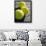 Close-up of Three Tennis Balls-null-Framed Photographic Print displayed on a wall