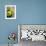 Close-up of Three Tennis Balls-null-Framed Photographic Print displayed on a wall