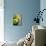 Close-up of Three Tennis Balls-null-Mounted Photographic Print displayed on a wall
