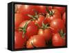 Close-Up of Tomatoes, England, United Kingdom-Roy Rainford-Framed Stretched Canvas