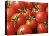 Close-Up of Tomatoes, England, United Kingdom-Roy Rainford-Stretched Canvas