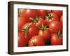 Close-Up of Tomatoes, England, United Kingdom-Roy Rainford-Framed Photographic Print
