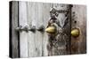 Close-Up of Traditional Carved Door, Stone Town, Zanzibar, Tanzania-Alida Latham-Stretched Canvas