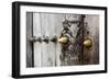 Close-Up of Traditional Carved Door, Stone Town, Zanzibar, Tanzania-Alida Latham-Framed Photographic Print