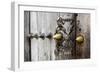 Close-Up of Traditional Carved Door, Stone Town, Zanzibar, Tanzania-Alida Latham-Framed Photographic Print