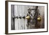 Close-Up of Traditional Carved Door, Stone Town, Zanzibar, Tanzania-Alida Latham-Framed Photographic Print