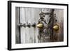 Close-Up of Traditional Carved Door, Stone Town, Zanzibar, Tanzania-Alida Latham-Framed Photographic Print