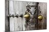 Close-Up of Traditional Carved Door, Stone Town, Zanzibar, Tanzania-Alida Latham-Mounted Photographic Print