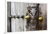 Close-Up of Traditional Carved Door, Stone Town, Zanzibar, Tanzania-Alida Latham-Framed Photographic Print