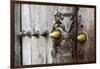 Close-Up of Traditional Carved Door, Stone Town, Zanzibar, Tanzania-Alida Latham-Framed Photographic Print