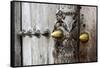 Close-Up of Traditional Carved Door, Stone Town, Zanzibar, Tanzania-Alida Latham-Framed Stretched Canvas